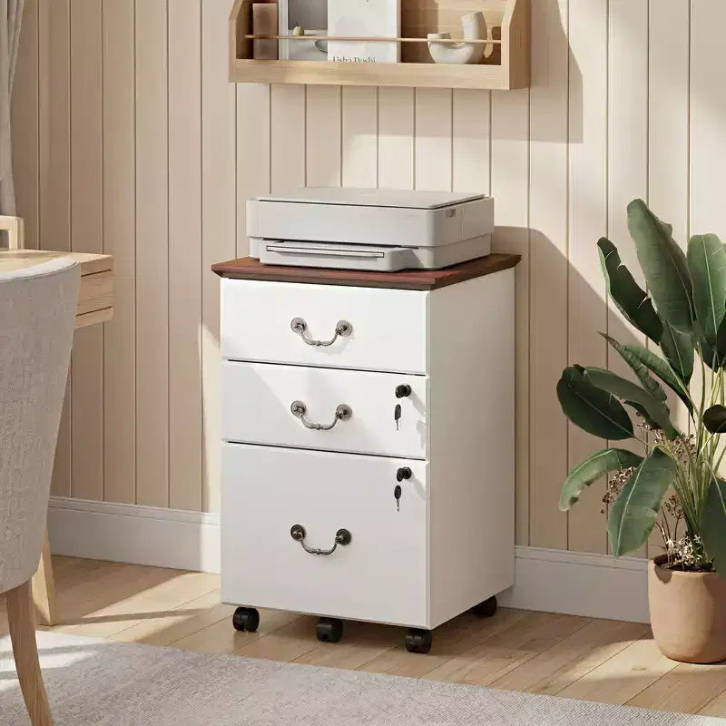 Classeur DEXYLLO 2 tiroirs, petit meuble de bureau avec serrure, meuble de classement roulant sous le bureau pour bureau à domicile
